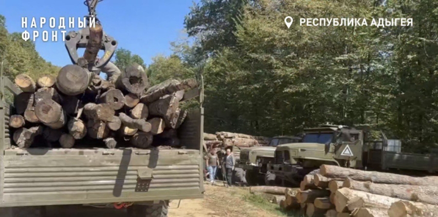 Более 120 КамАЗов леса отправлено на передовую Народным фронтом Адыгеи